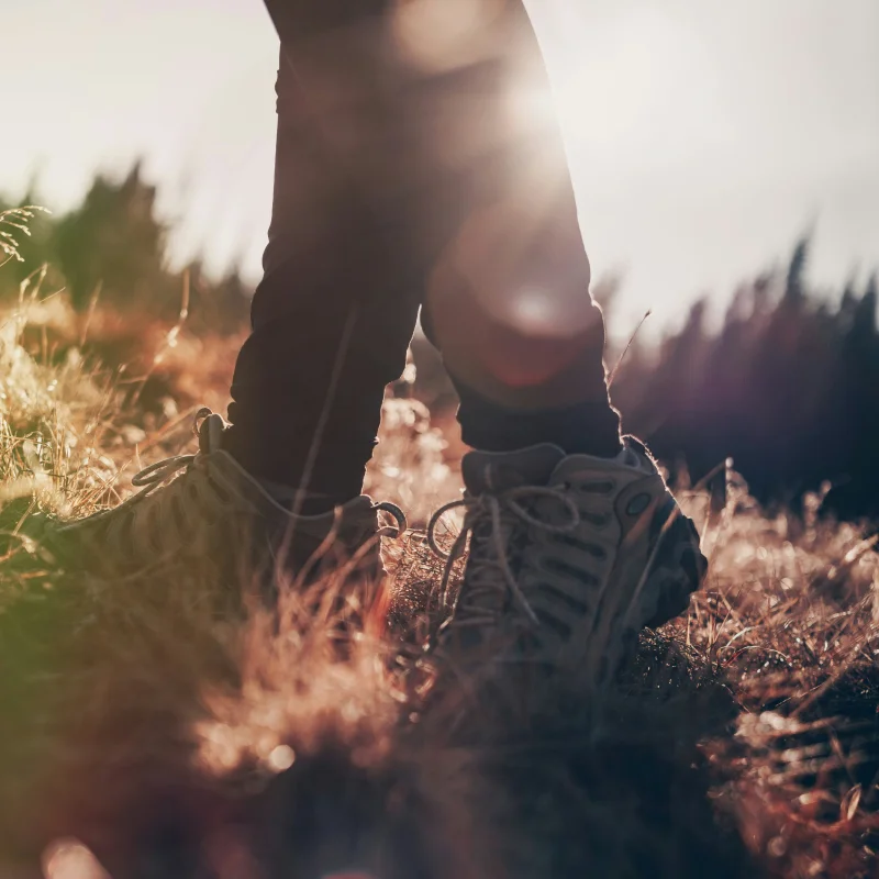 picture of bottom of legs and feet walking in the sunlight